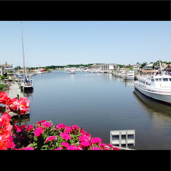 Meet your 🌟POSH AMBASSADORS🌟, Lil and Lilly - Picture 1 of 2